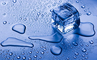 ice cube wallpaper, ice cubes, water