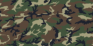 green and black camouflage textile, camouflage