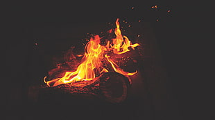 red and yellow flames, log, fire, campfire