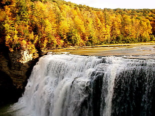 waterfalls at daytime HD wallpaper