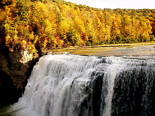 waterfalls at daytime
