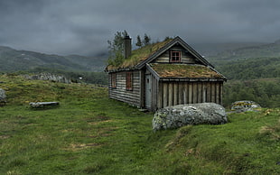brown and white wooden house, nature, grass, mist, rock
