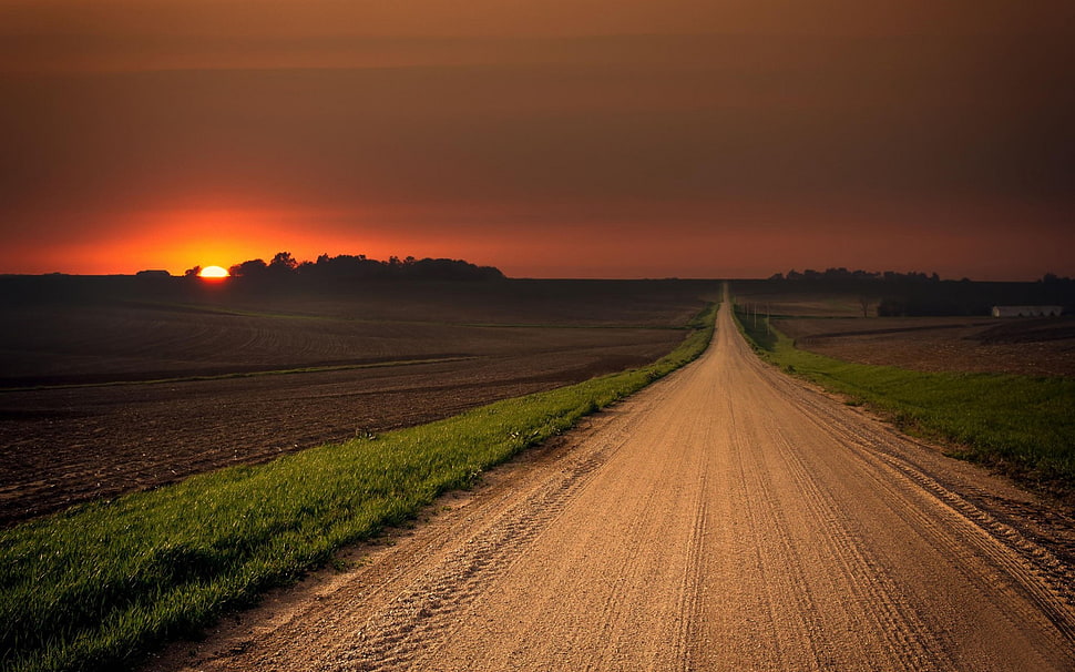 green grass, landscape, sunset, path, plains HD wallpaper