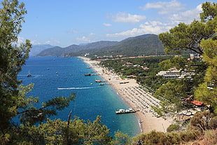 aerial photo of beach coastline with mountain in the background