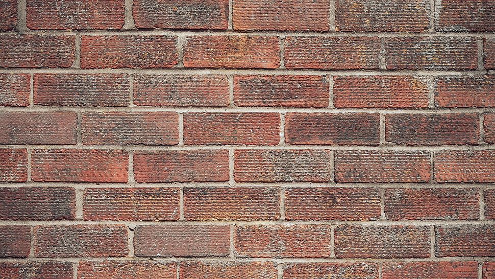 brown concrete bricked wall, texture, bricks, wall HD wallpaper