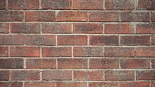brown concrete bricked wall, texture, bricks, wall