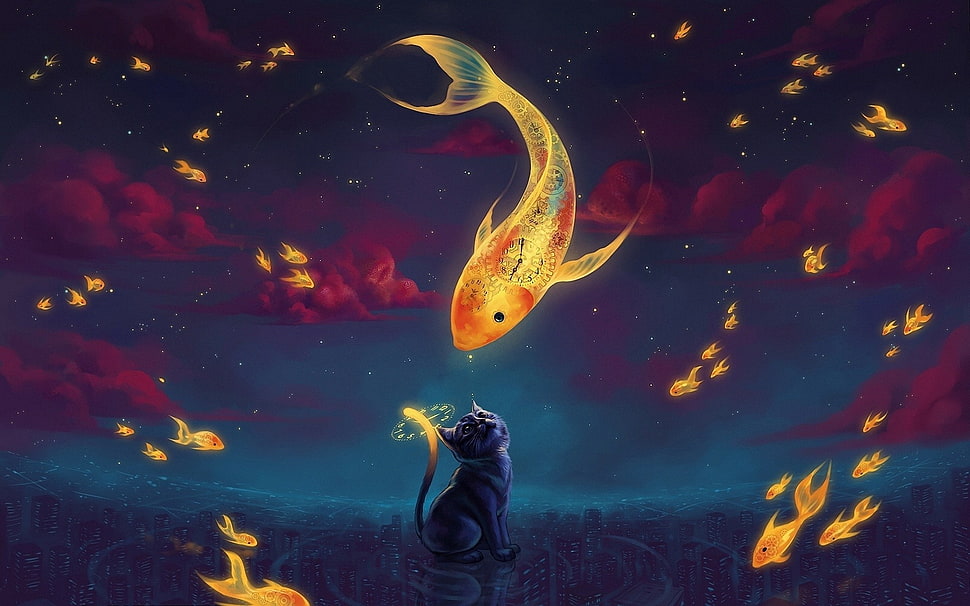 fishes and cat illustration, animals HD wallpaper