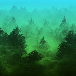 green pine trees painting, forest, trees