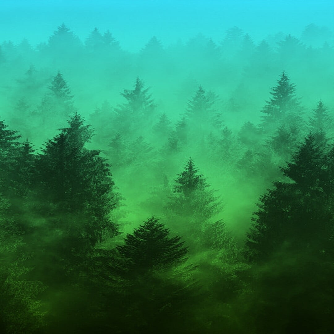 Green Pine Trees Painting Forest Trees Hd Wallpaper Wallpaper Flare