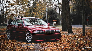 red BMW sedan, BMW, car, E 46 HD wallpaper
