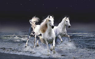 three white running horse on body of water during nighttime