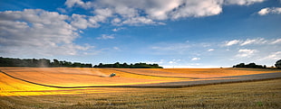 crop field panoramic photoraphy HD wallpaper