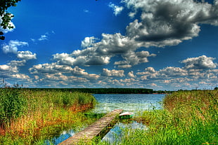 brown wooden dock, nature, clouds, HDR, lake