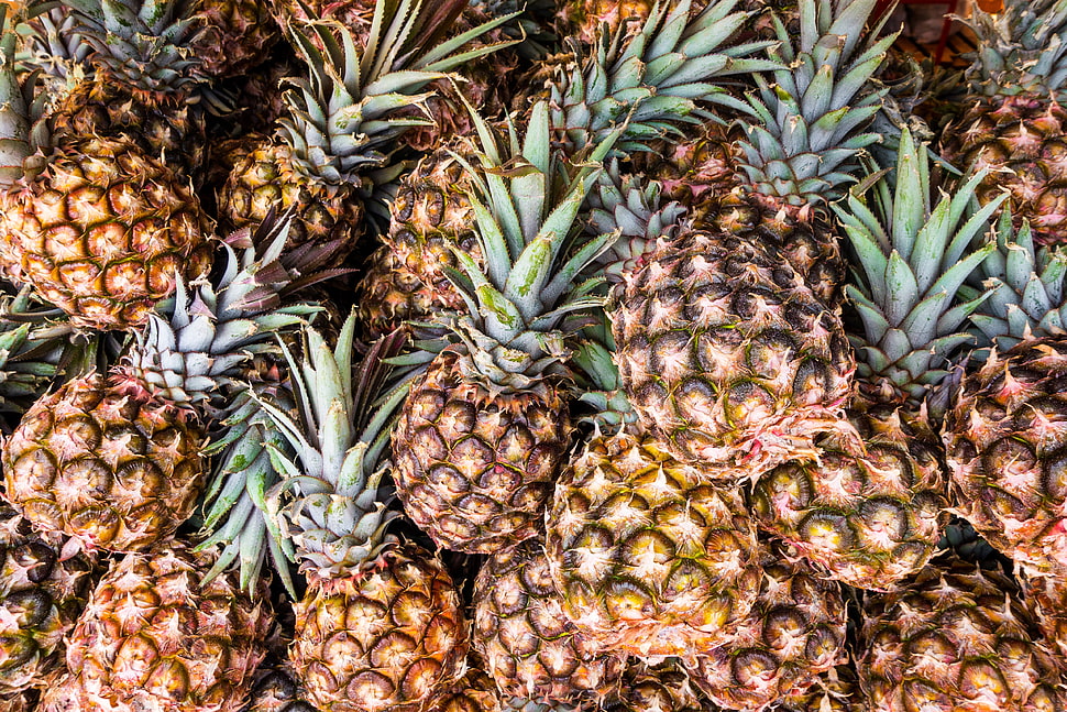 yellow pineapples, Pineapple, Fruit, Ripe HD wallpaper