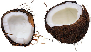 cracked Coconut shell