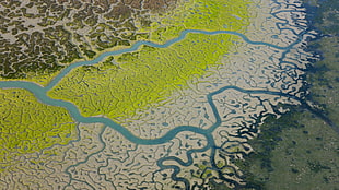 aerial photography of lake