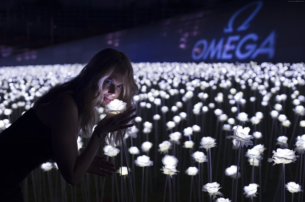 shallow focus photography of woman smelling white flower HD wallpaper