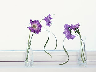 two purple petaled flower arrangements on clear glass jars