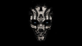skull illustration, Prince of Persia: Warrior Within, video games