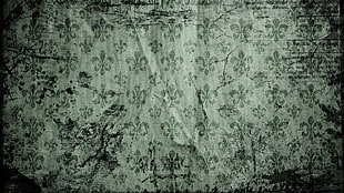 white and gray floral area rug, Fleur de Lis