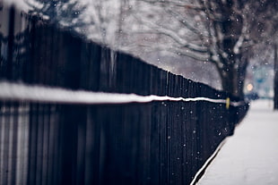 black wooden fence, trees, fence, snow, urban