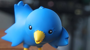 blue and yellow plastic bird, Twitter, ollie