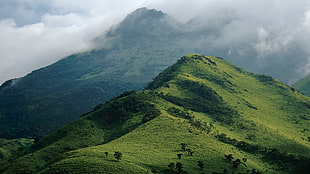 green hill near mountain