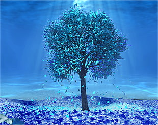 blue leafed tree illustration HD wallpaper
