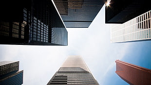 low angle photography of high-rise buildings, cityscape, building, architecture