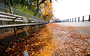 photo of gray wooden benches outdoors with brown leaves on ground