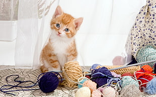 orange and white kitten, kittens, cat, yarn, animals HD wallpaper