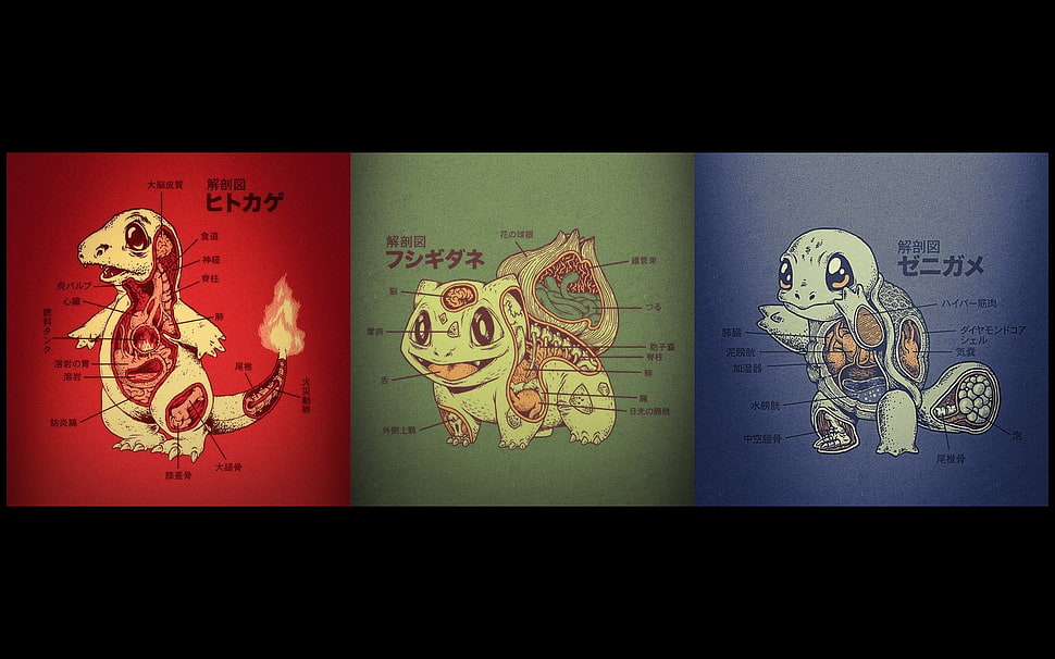 Pokemon illustration HD wallpaper