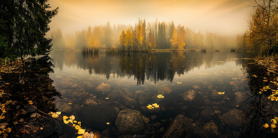 river and trees, nature HD wallpaper