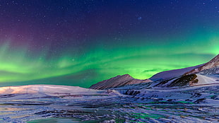 aurora light, aurorae, Norway, nature HD wallpaper