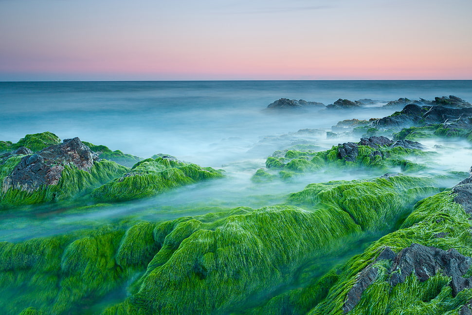green mountain illustration HD wallpaper