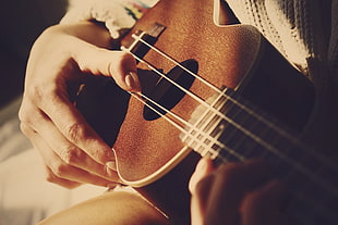 person playing a brown ukulele