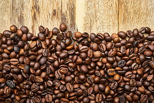 coffee seeds, Coffee beans, Coffee, Surface HD wallpaper