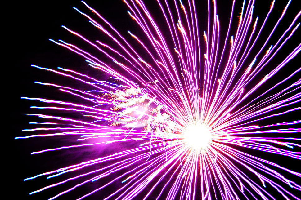 purple fireworks display HD wallpaper