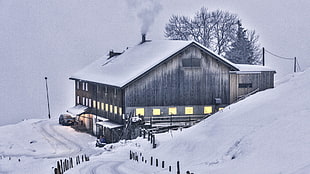 gray and black house, Austria, cabin, snow HD wallpaper