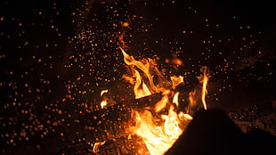 burning charcoal closeup photography HD wallpaper