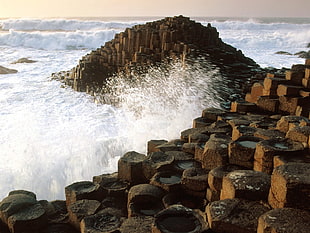 brown and black concrete bricks, nature, landscape, Giant's Causeway, sea HD wallpaper