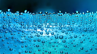 macro photography of bubbles HD wallpaper