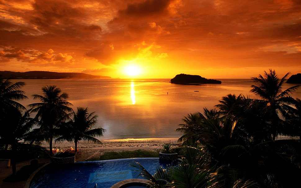 photo of golden hour, sunset, beach, sea, sunlight HD wallpaper