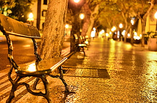 bench beside tree surrounded by lights
