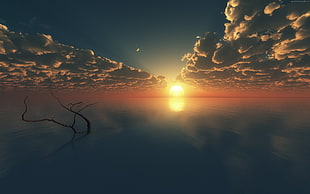 bare tree branch on water during golden hours HD wallpaper