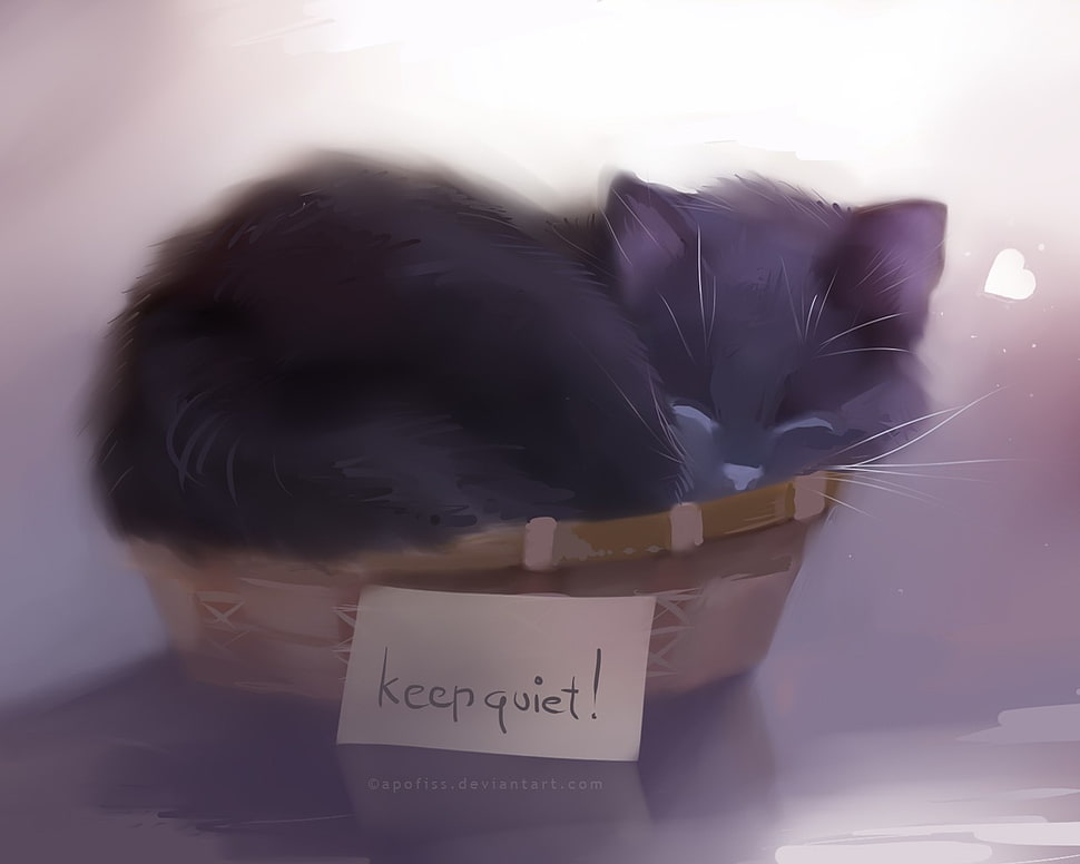 black cat sleeping in basket digital wallpaper, animals, cat, sleeping, writing HD wallpaper