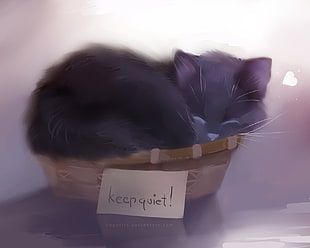 black cat sleeping in basket digital wallpaper, animals, cat, sleeping, writing