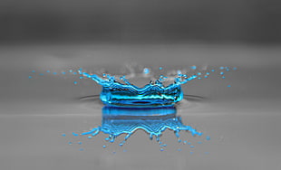 selective focus photography of water drop
