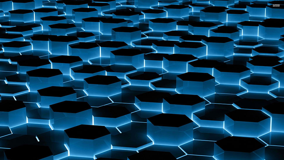 blue and black digital wallpaper HD wallpaper