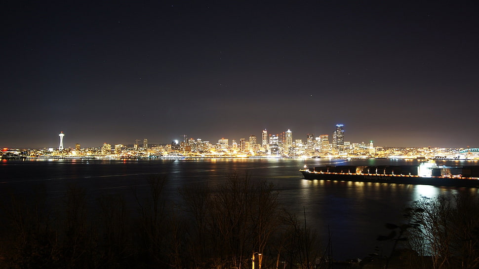 high-rise buildings, Seattle, city, night HD wallpaper